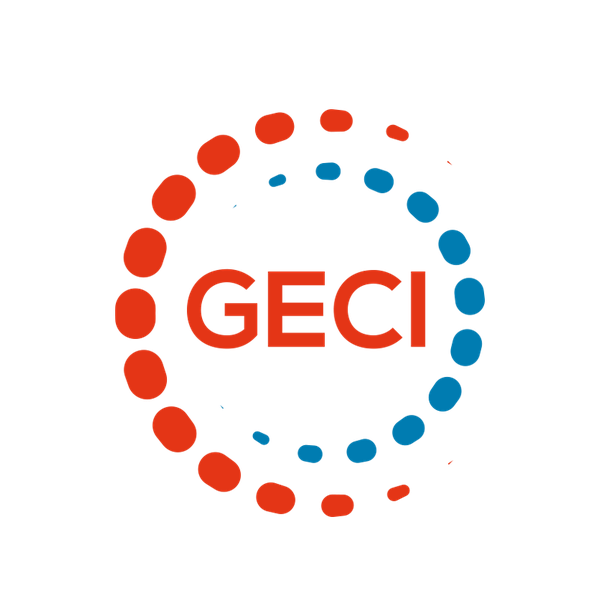 Consultora GECI